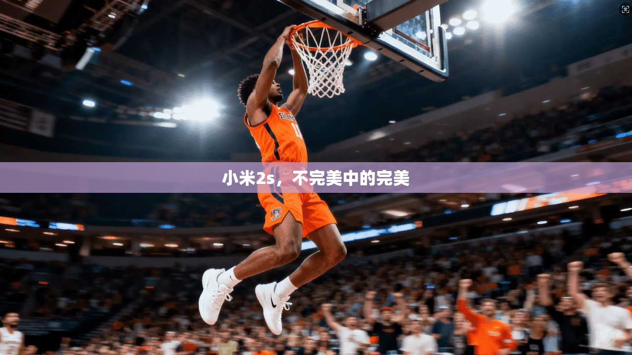 小米2s，不完美中的完美