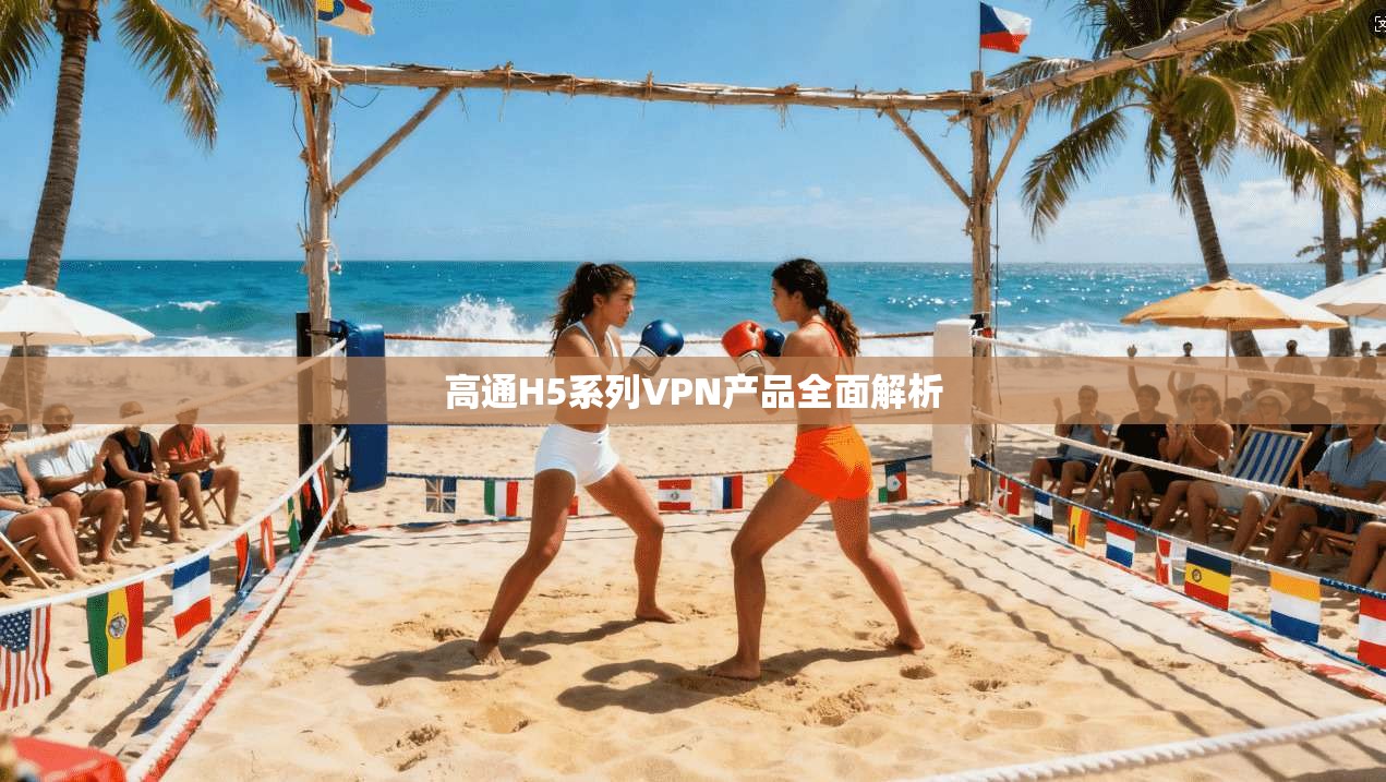 高通H5系列VPN产品全面解析