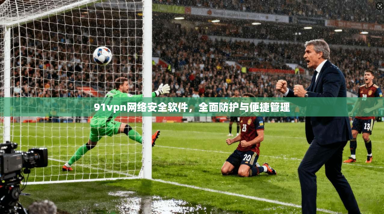 91vpn网络安全软件，全面防护与便捷管理