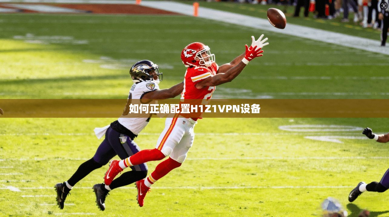 如何正确配置H1Z1VPN设备