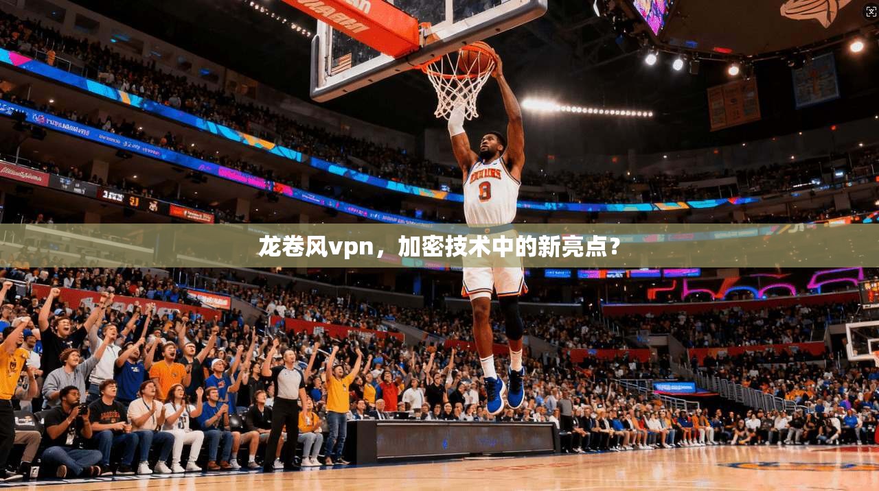 龙卷风vpn，加密技术中的新亮点？