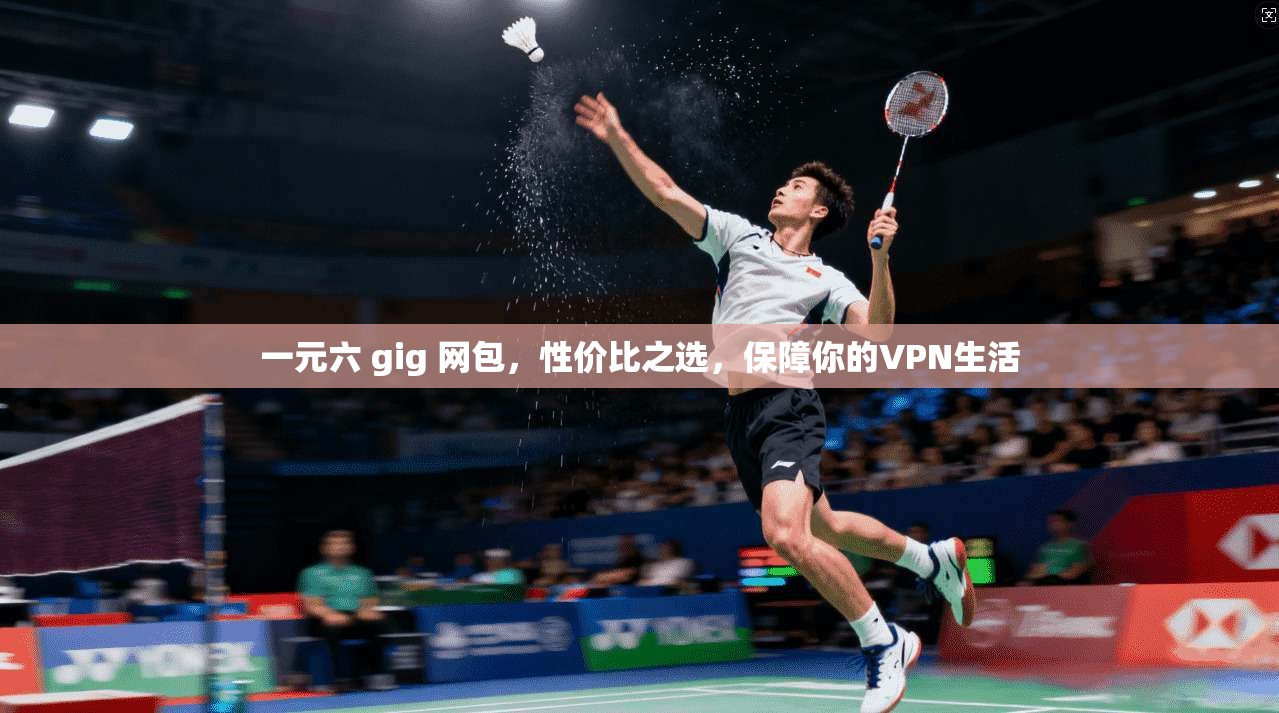 一元六 gig 网包，性价比之选，保障你的VPN生活