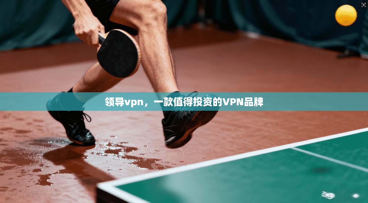 领导vpn，一款值得投资的VPN品牌