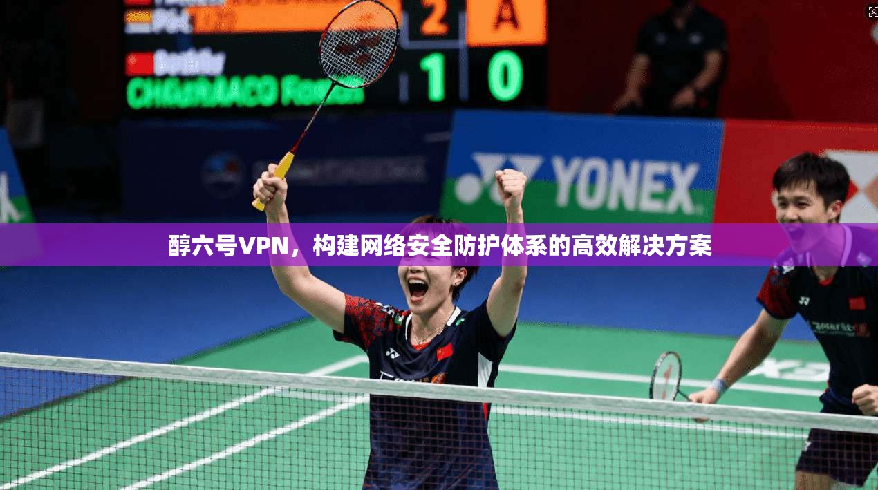 醇六号VPN，构建网络安全防护体系的高效解决方案