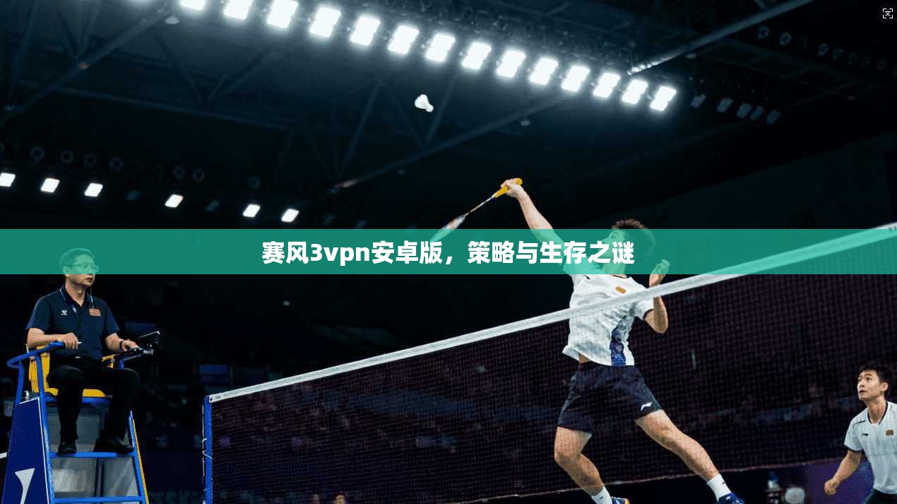 赛风3vpn安卓版，策略与生存之谜