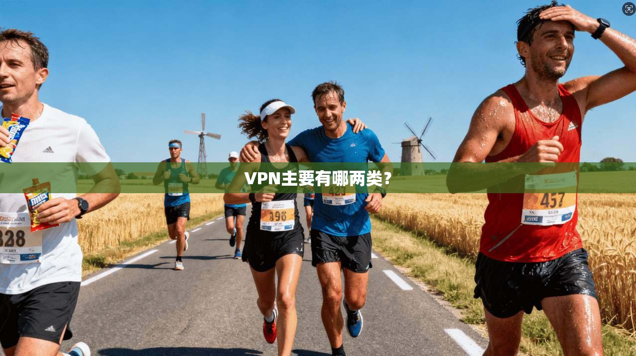 VPN主要有哪两类？