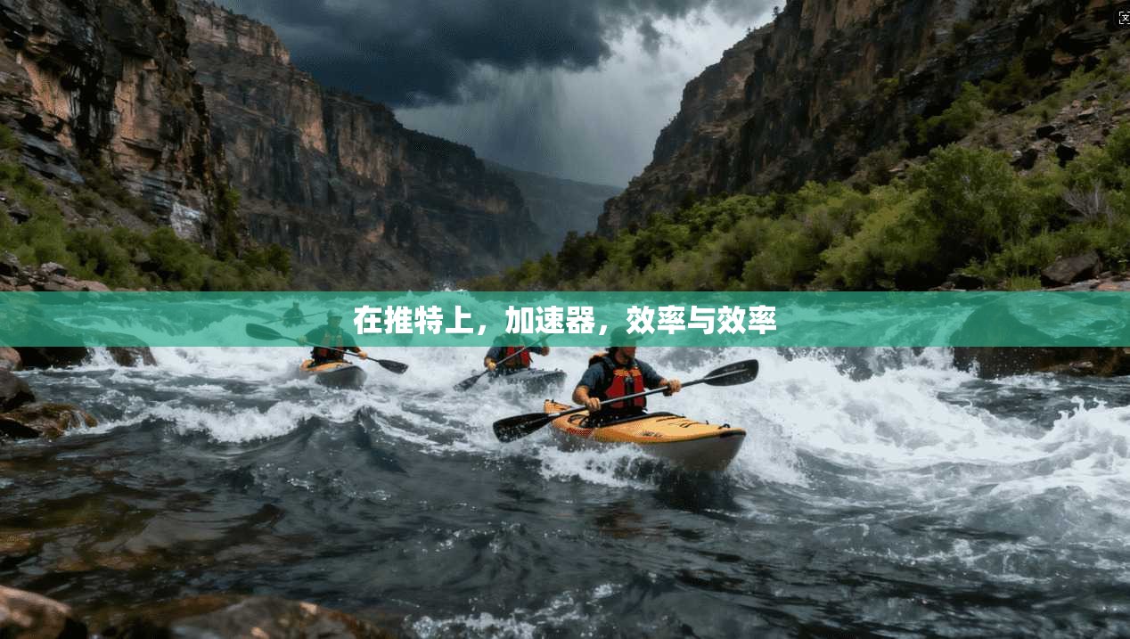 在推特上，加速器，效率与效率