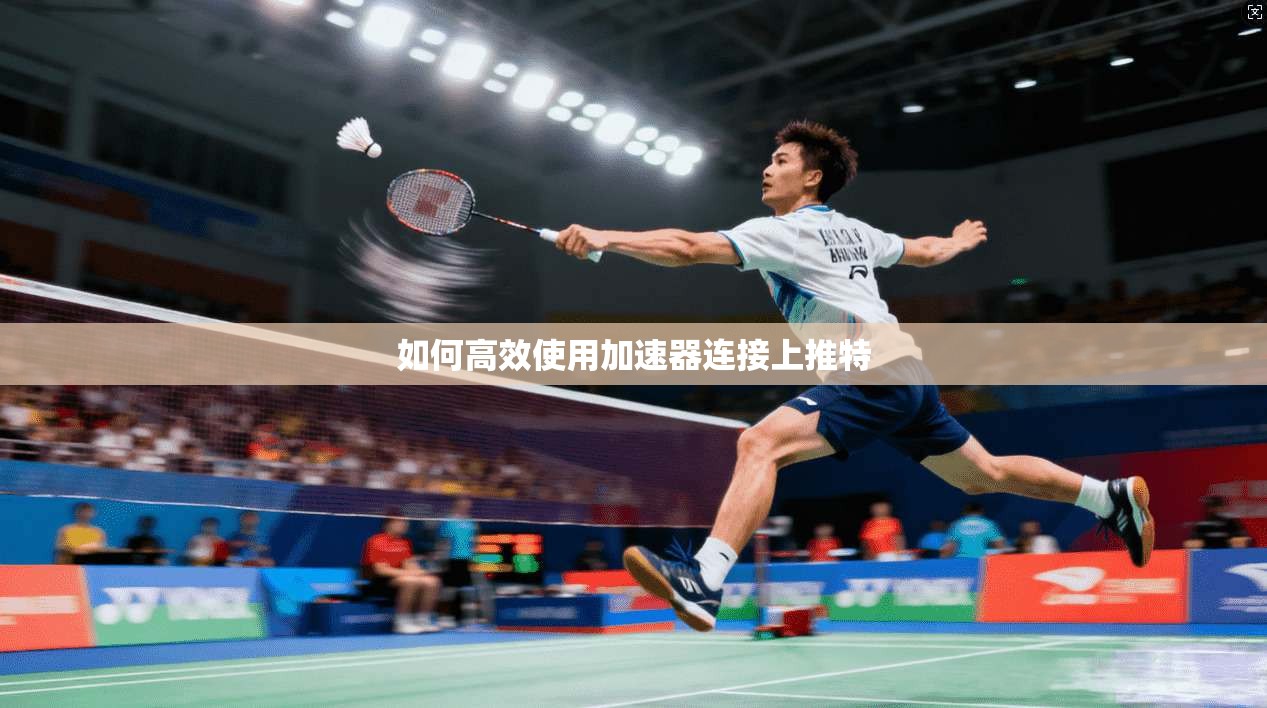 如何高效使用加速器连接上推特