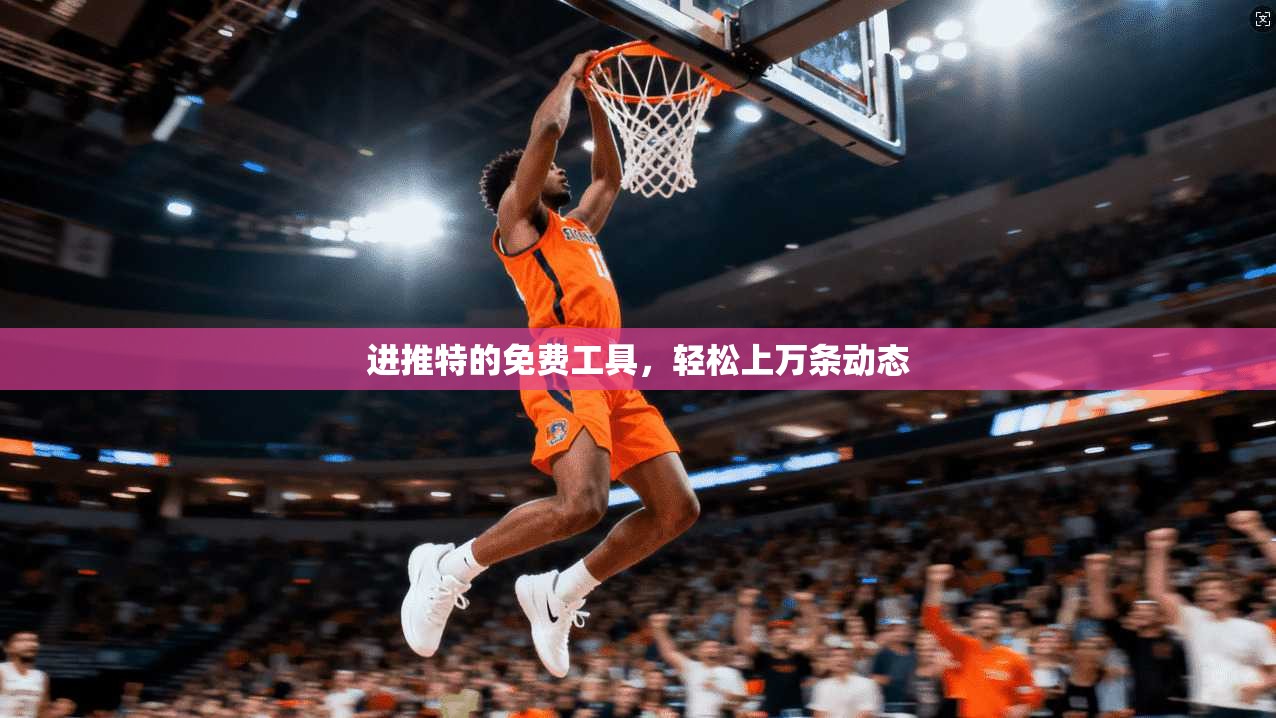 进推特的免费工具，轻松上万条动态