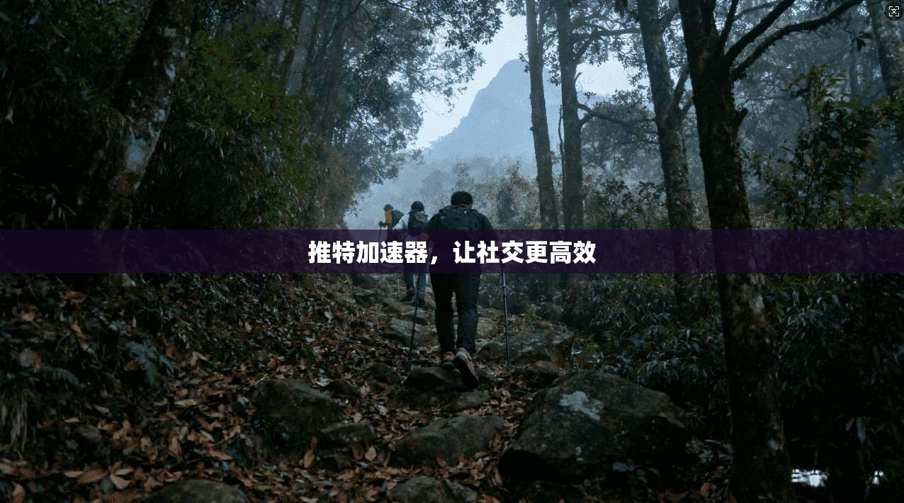 推特加速器，让社交更高效