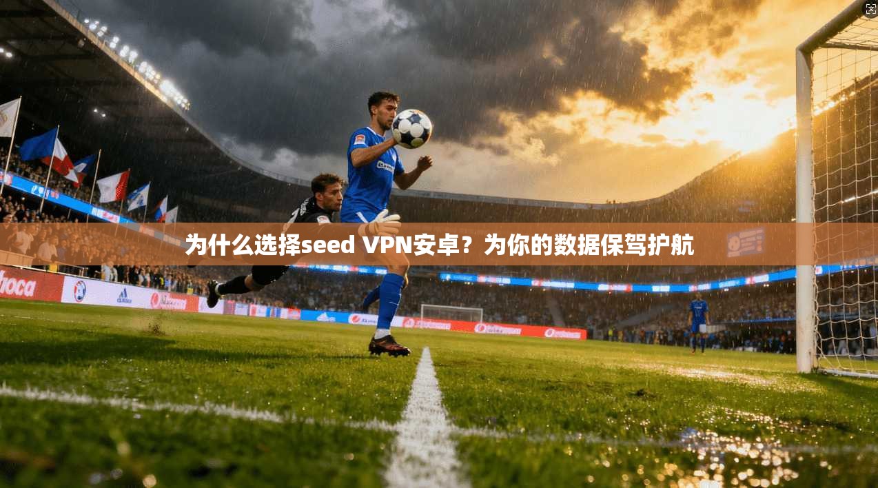 为什么选择seed VPN安卓？为你的数据保驾护航