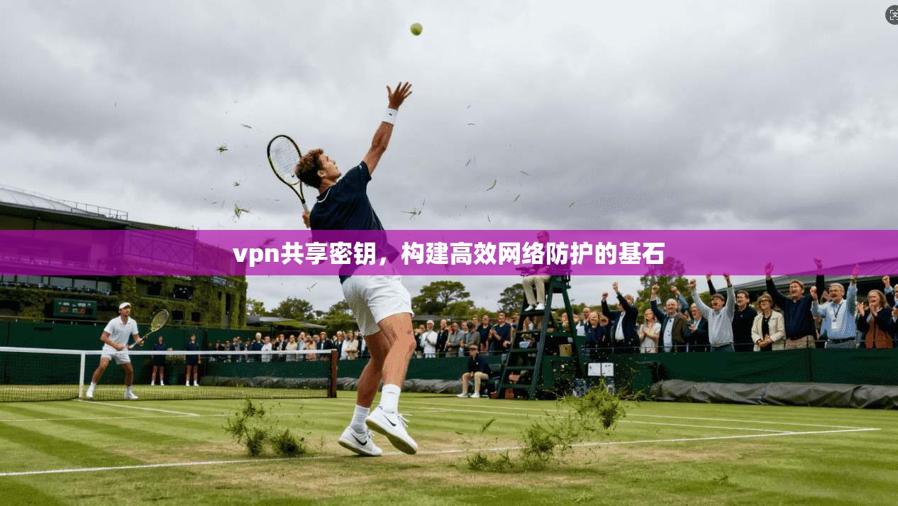vpn共享密钥，构建高效网络防护的基石