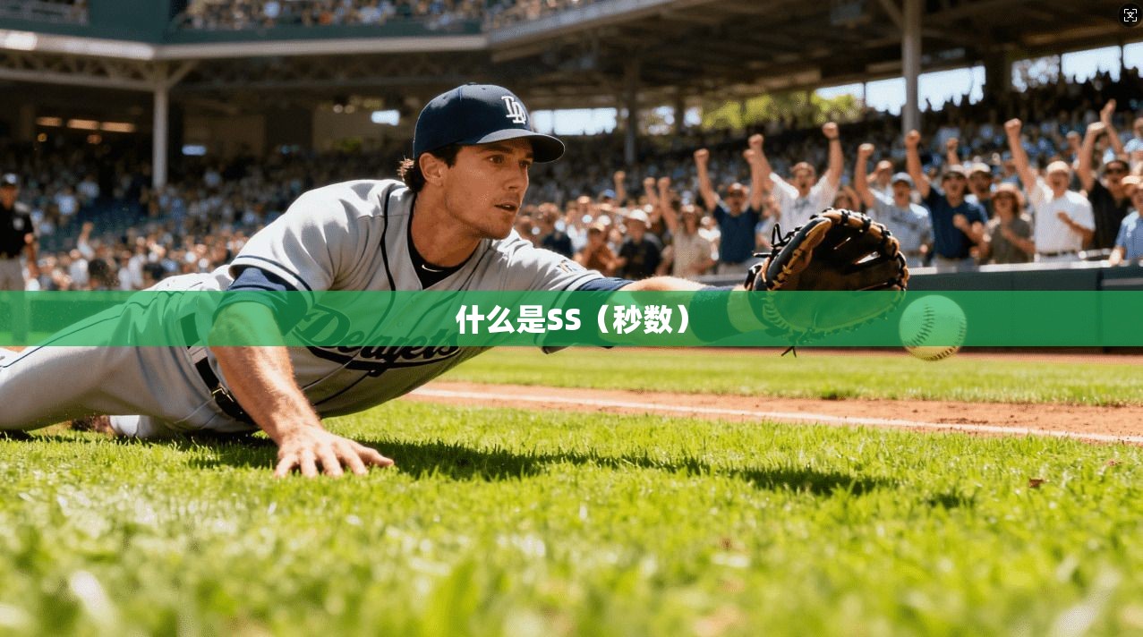 什么是SS（秒数）