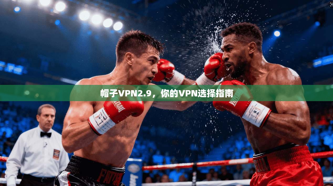 帽子VPN2.9，你的VPN选择指南