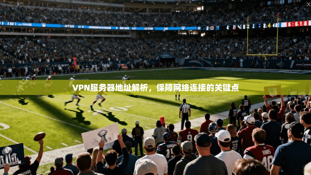 VPN服务器地址解析，保障网络连接的关键点