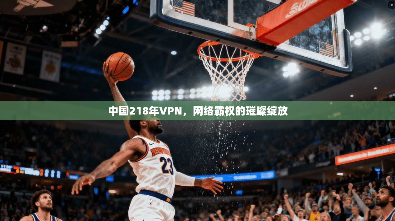 中国218年VPN，网络霸权的璀璨绽放