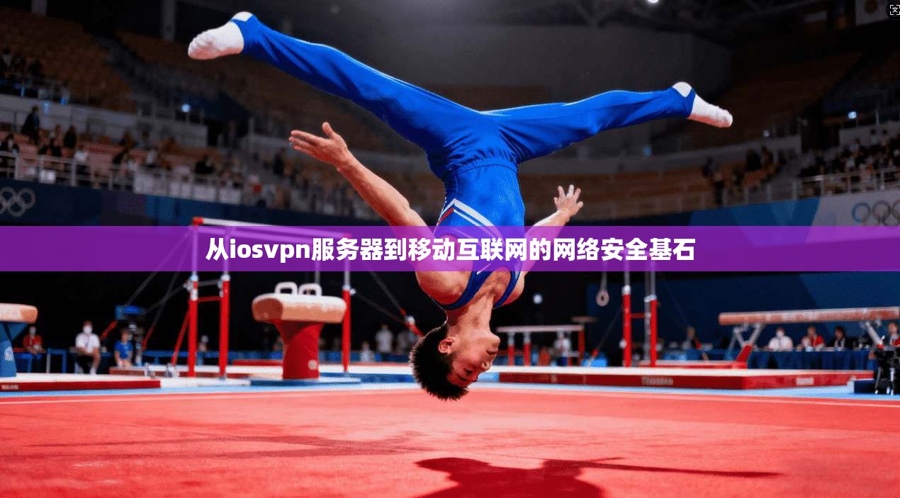 从iosvpn服务器到移动互联网的网络安全基石