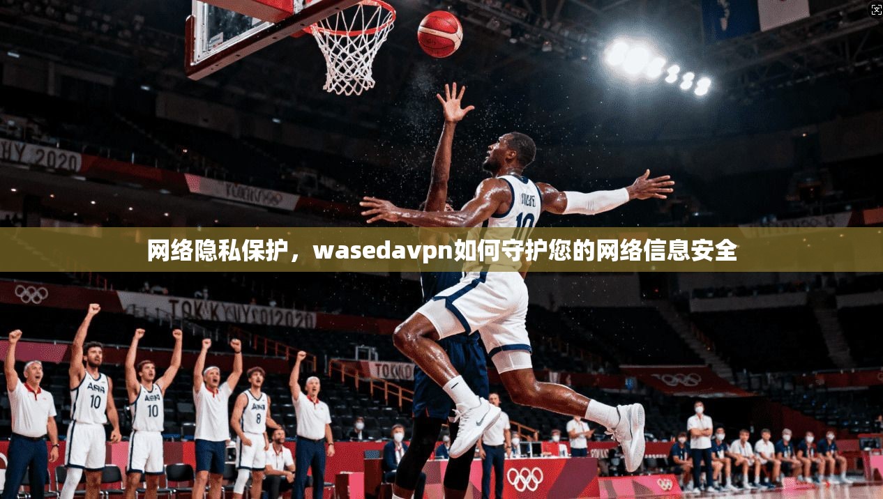 网络隐私保护，wasedavpn如何守护您的网络信息安全