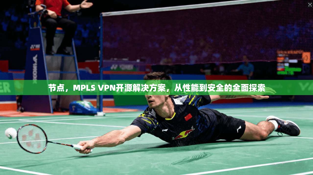 节点，MPLS VPN开源解决方案，从性能到安全的全面探索