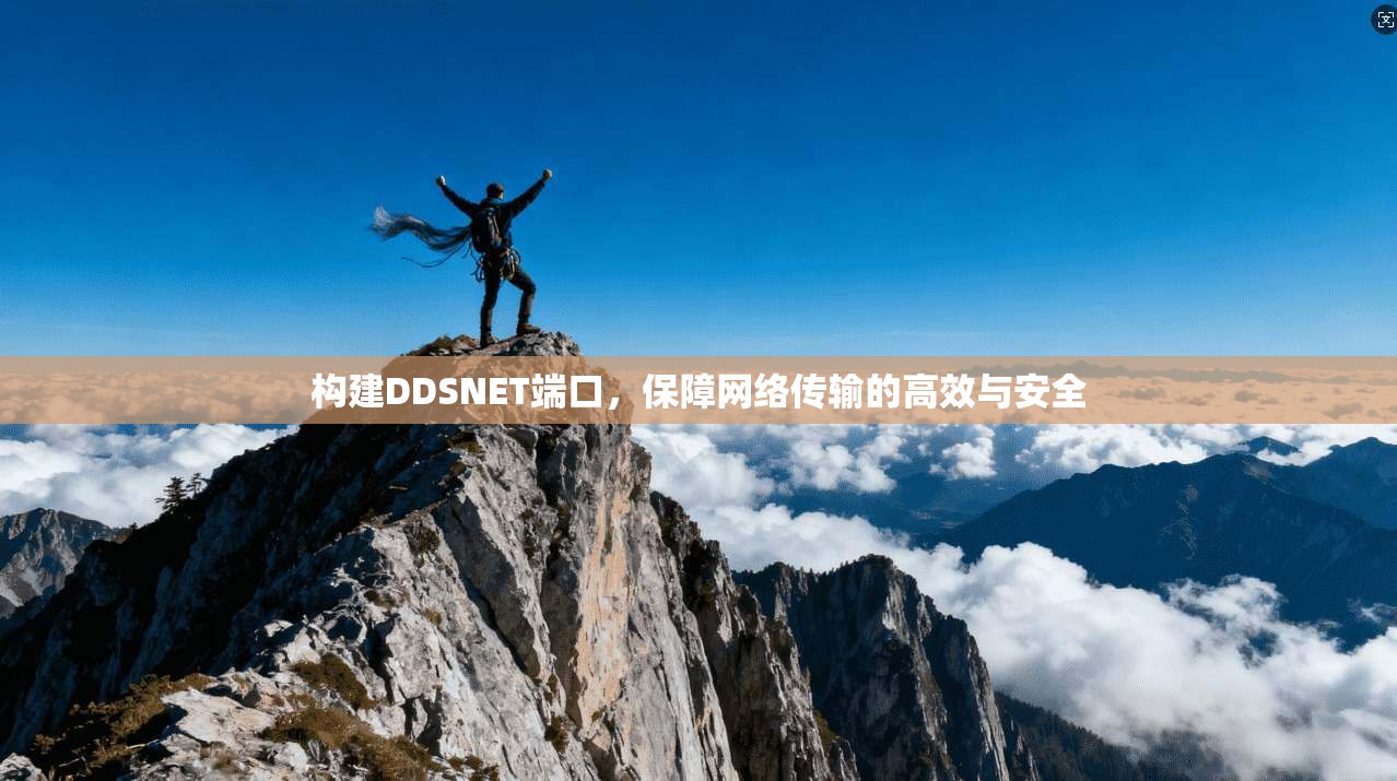 构建DDSNET端口，保障网络传输的高效与安全