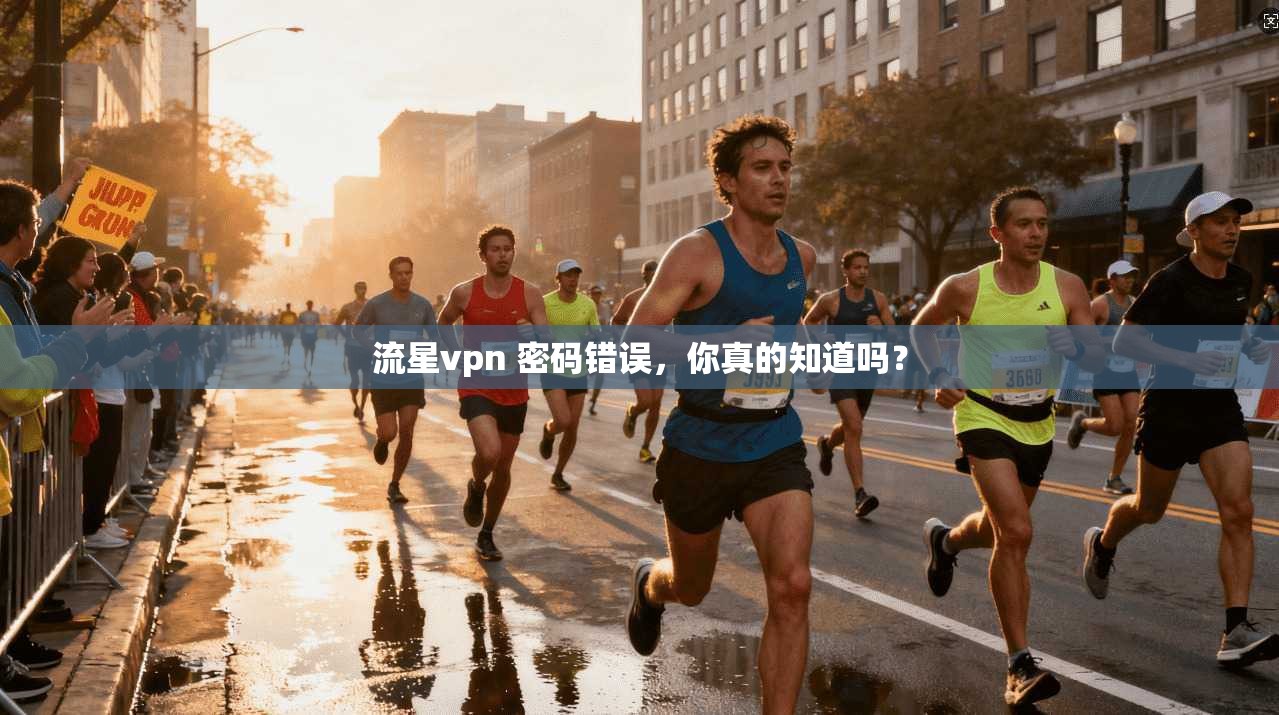 流星vpn 密码错误，你真的知道吗？