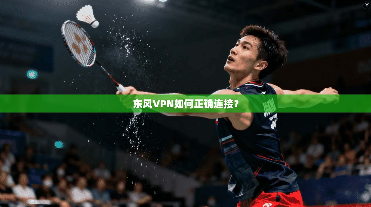 东风VPN如何正确连接？