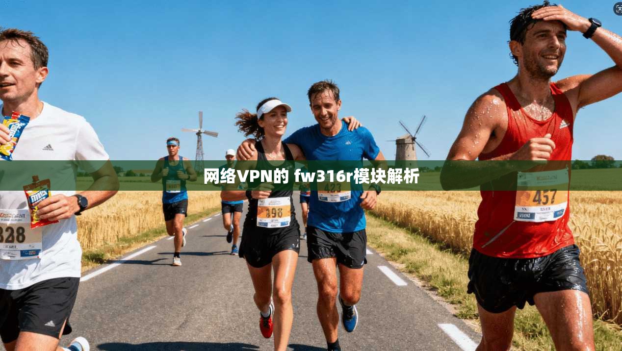 网络VPN的 fw316r模块解析