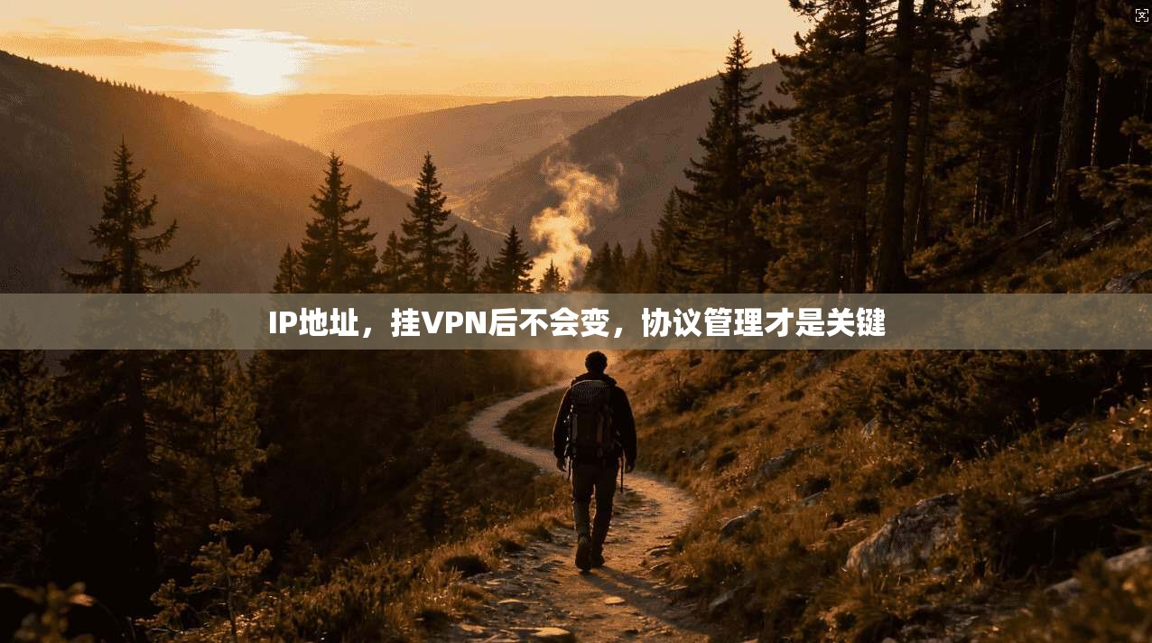 IP地址，挂VPN后不会变，协议管理才是关键