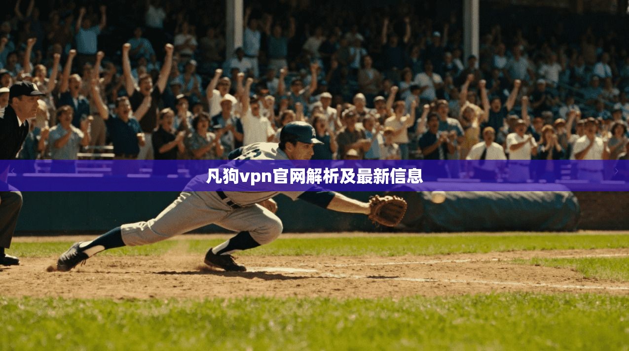 凡狗vpn官网解析及最新信息