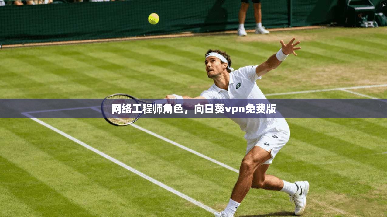 网络工程师角色，向日葵vpn免费版