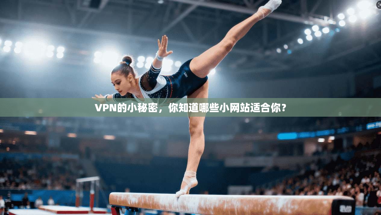 VPN的小秘密，你知道哪些小网站适合你？