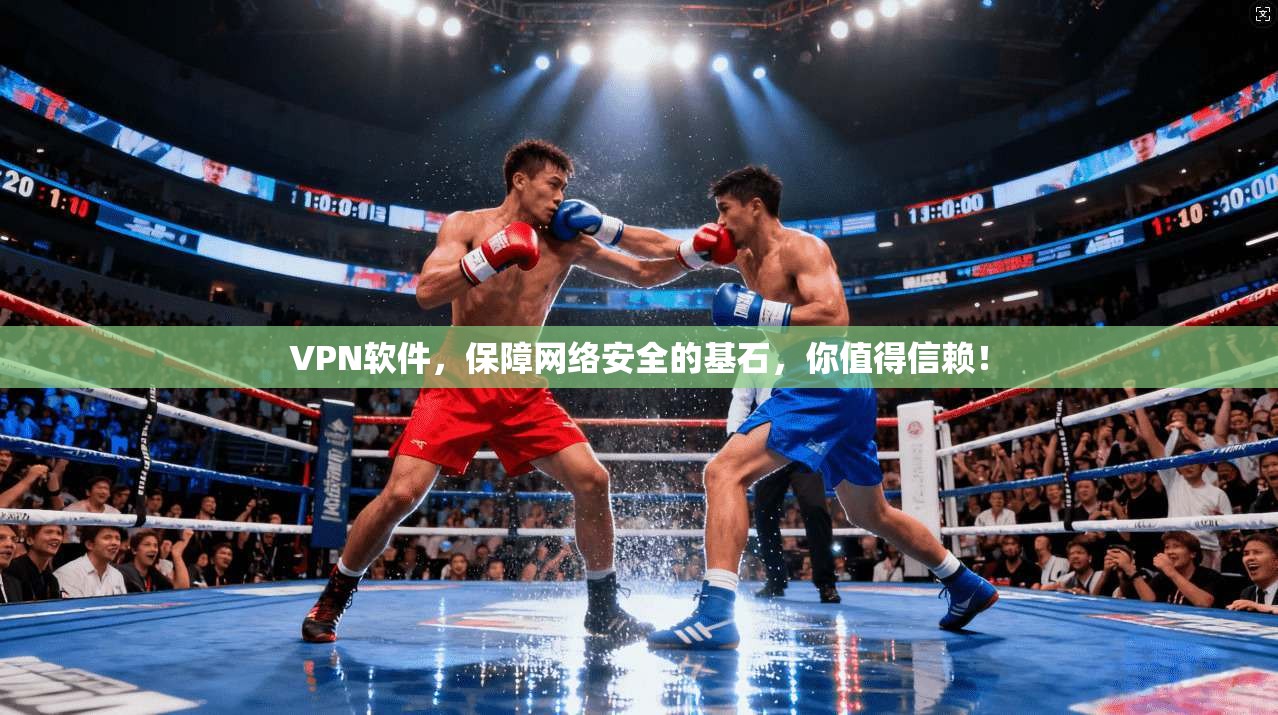 VPN软件，保障网络安全的基石，你值得信赖！