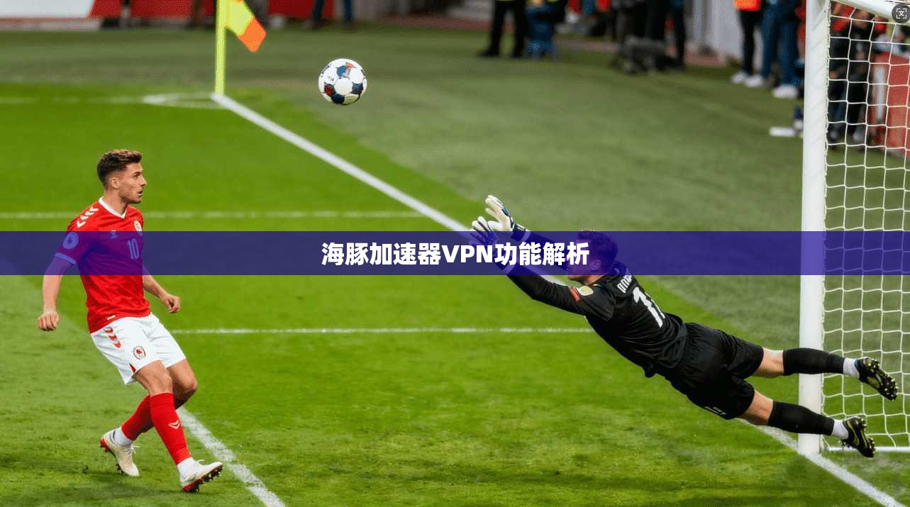 海豚加速器VPN功能解析