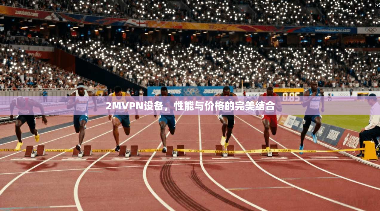 2MVPN设备，性能与价格的完美结合