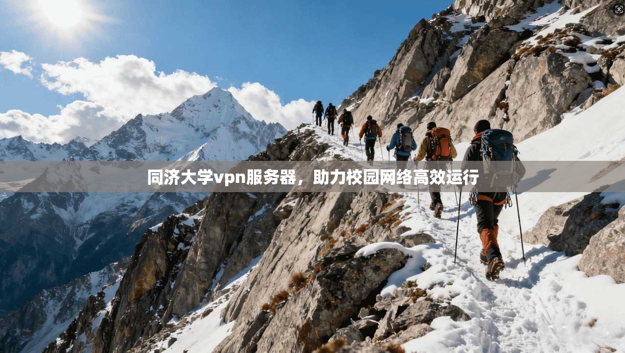 同济大学vpn服务器，助力校园网络高效运行