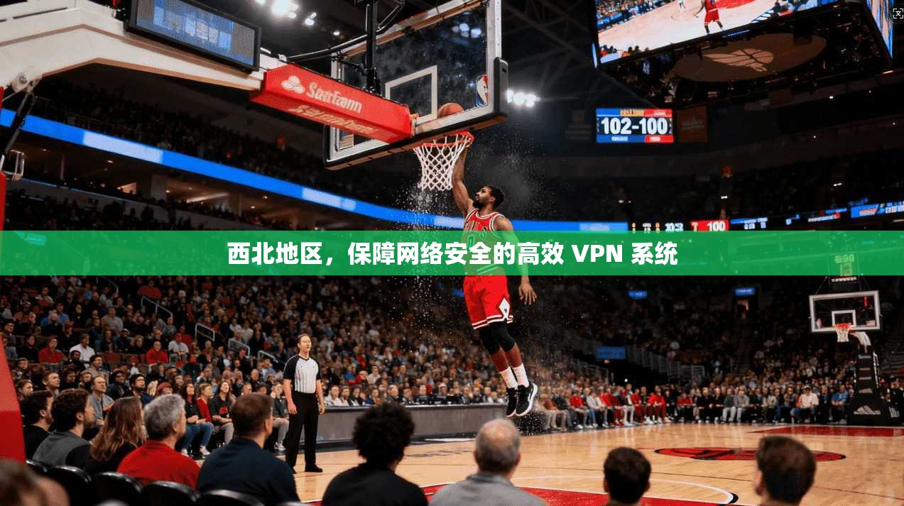 西北地区，保障网络安全的高效 VPN 系统