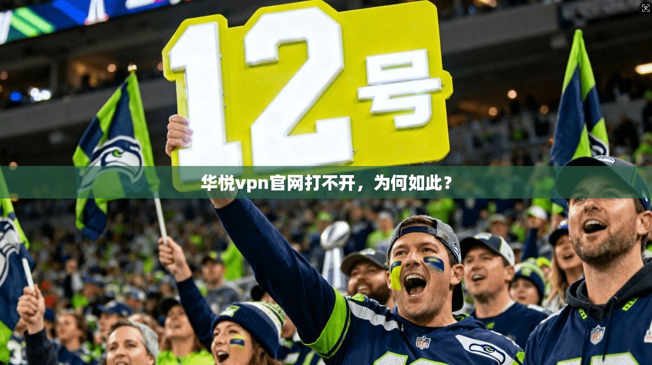 华悦vpn官网打不开,为何如此?