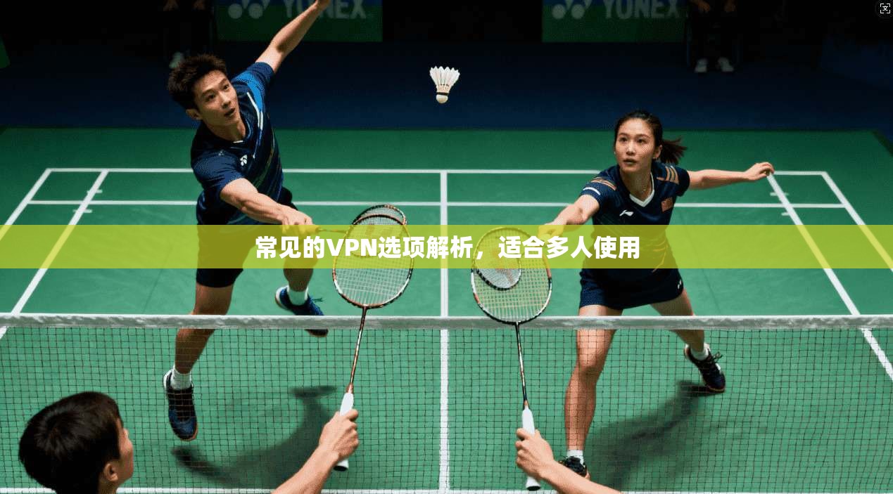 常见的VPN选项解析，适合多人使用