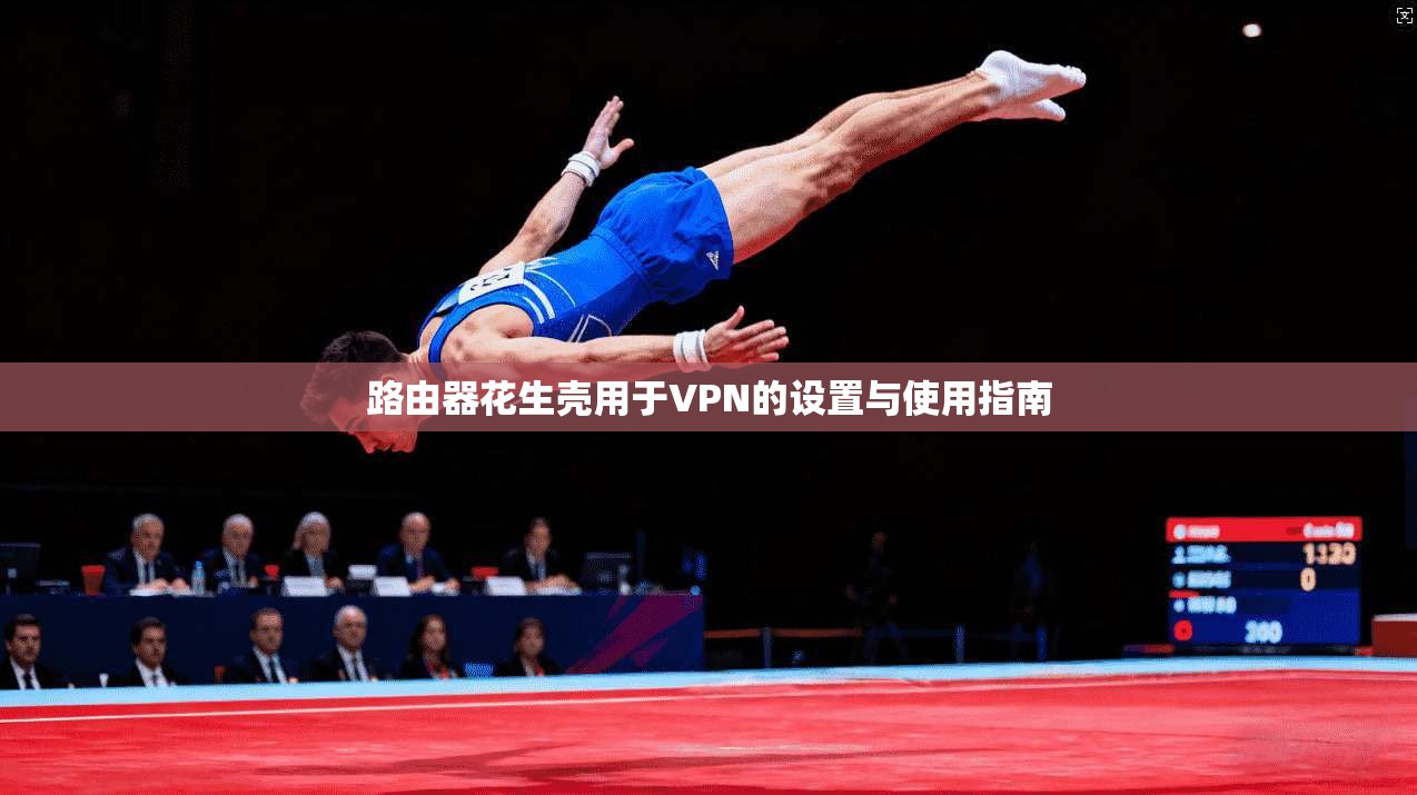 路由器花生壳用于VPN的设置与使用指南