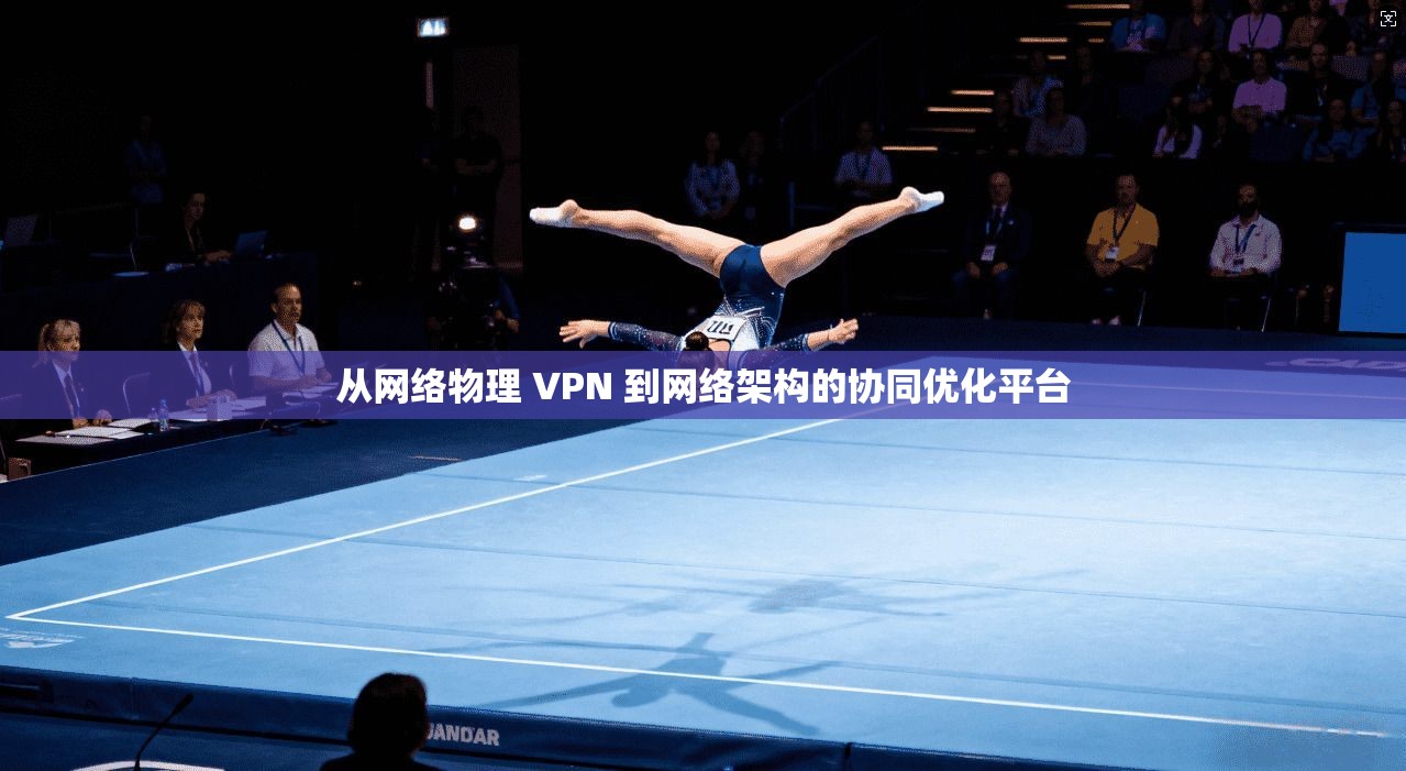 从网络物理 VPN 到网络架构的协同优化平台
