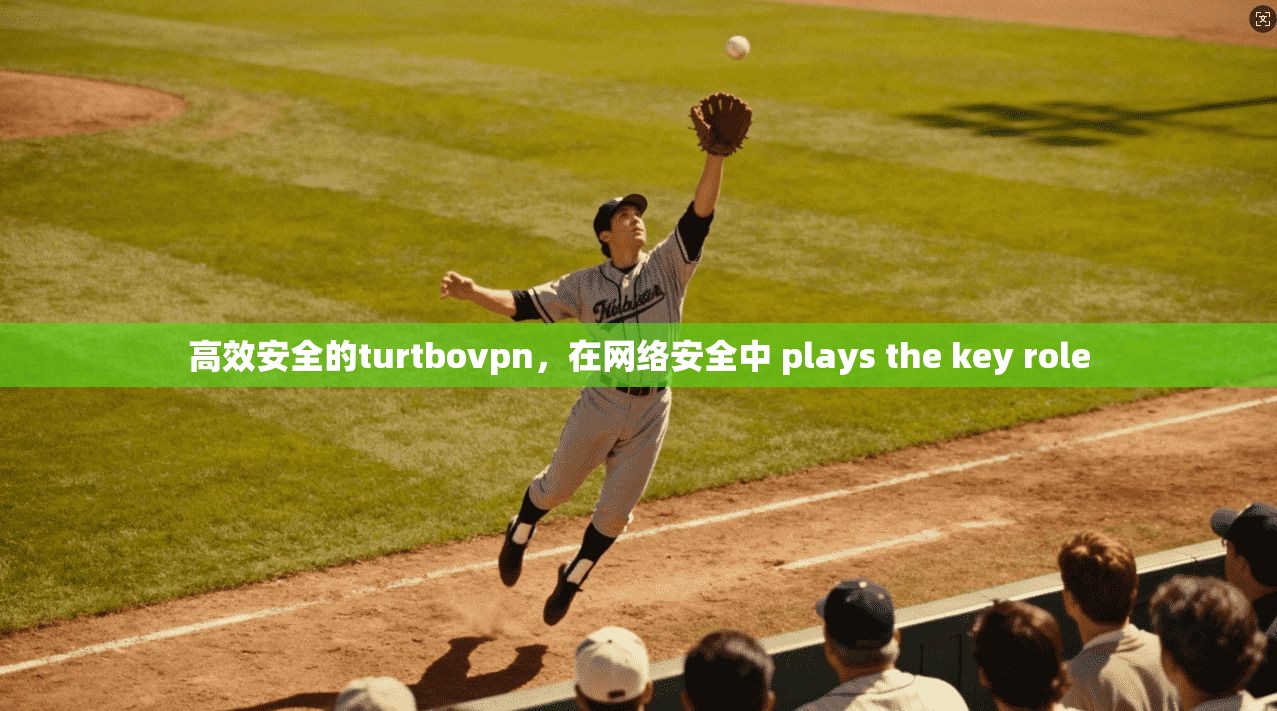 高效安全的turtbovpn，在网络安全中 plays the key role