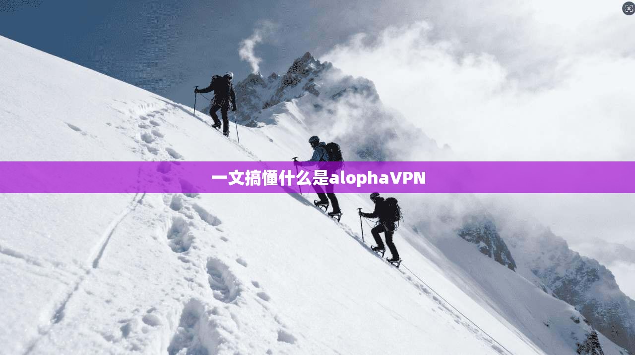 一文搞懂什么是alophaVPN