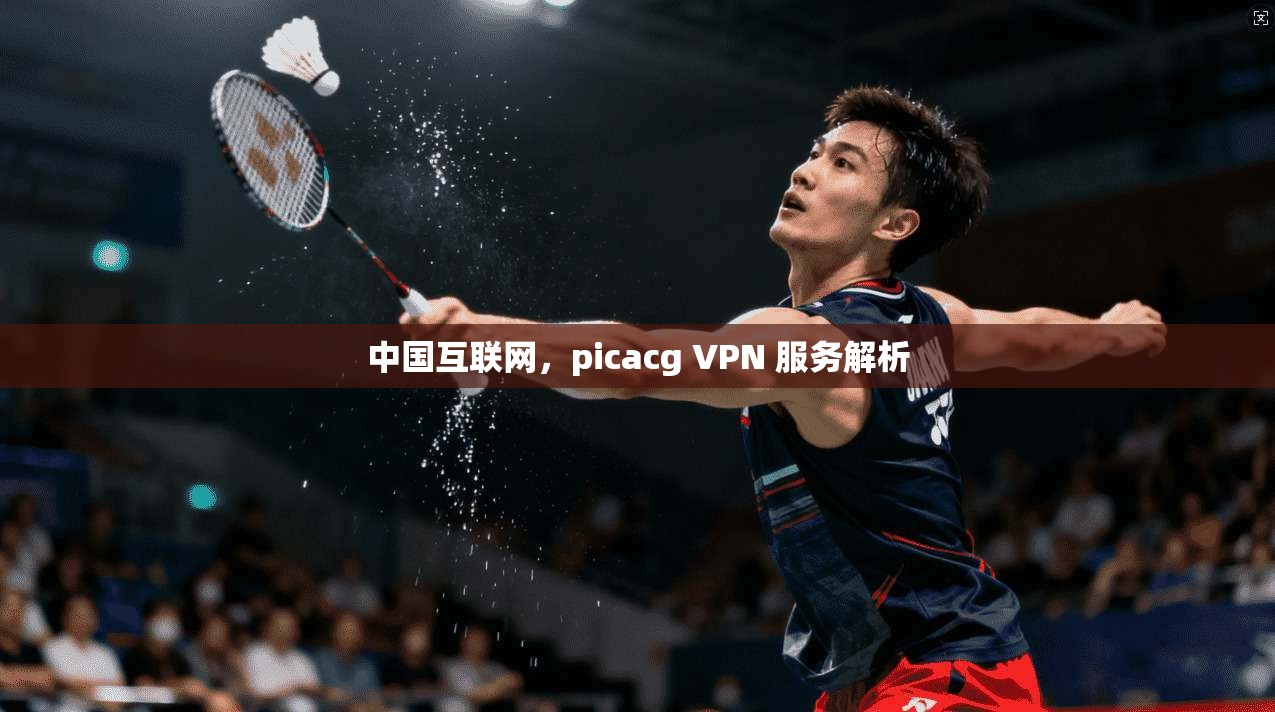 中国互联网，picacg VPN 服务解析