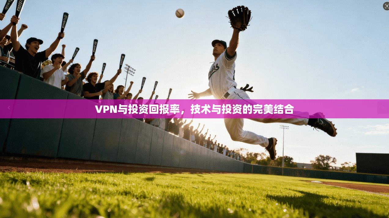 VPN与投资回报率，技术与投资的完美结合