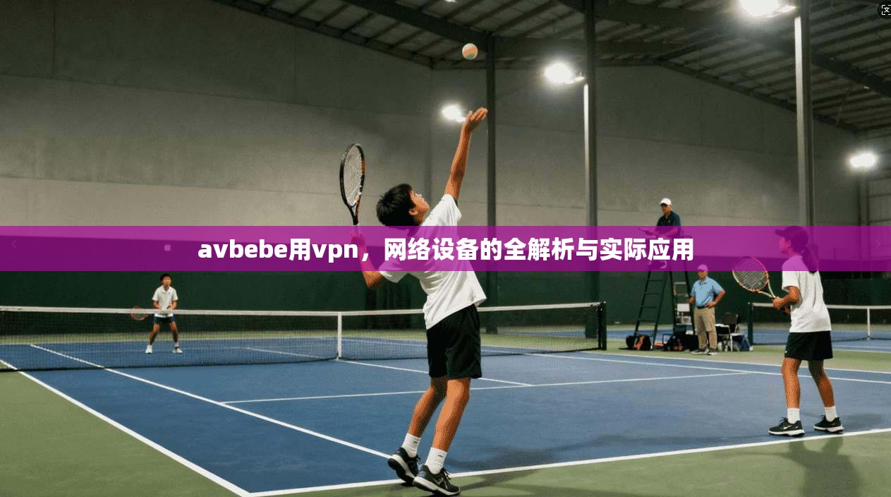 avbebe用vpn，网络设备的全解析与实际应用