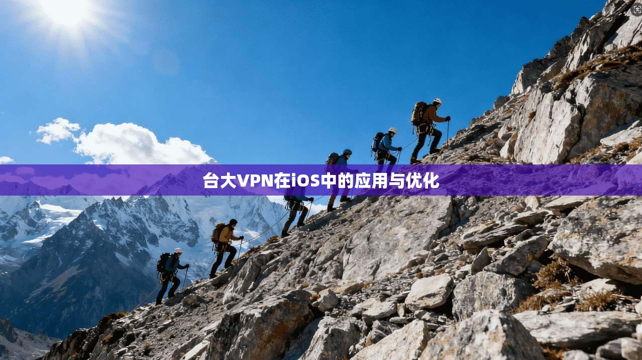 台大VPN在iOS中的应用与优化