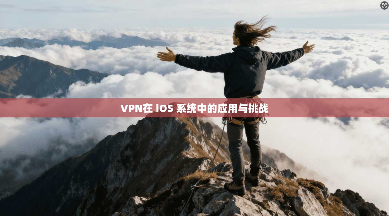 VPN在 iOS 系统中的应用与挑战