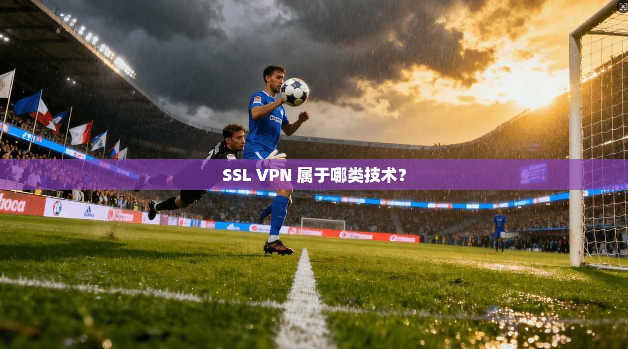 SSL VPN 属于哪类技术？