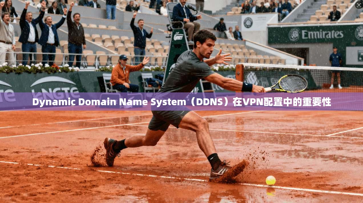 Dynamic Domain Name System(DDNS)在VPN配置中的重要性