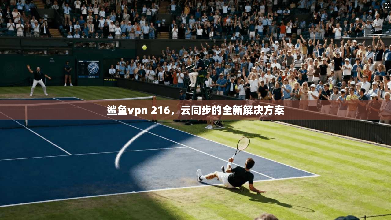 鲨鱼vpn 216，云同步的全新解决方案